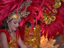 Carnaval de Mula 2012